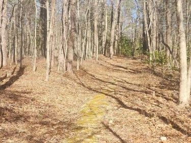 0 DOGWOOD LN, BENTONVILLE, VA 22610