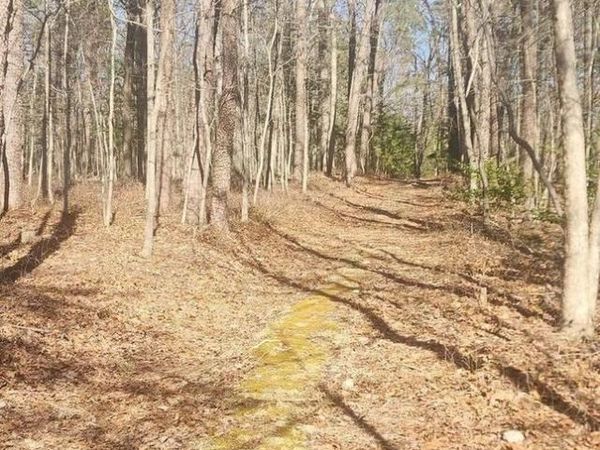 0 DOGWOOD LN, BENTONVILLE, VA 22610