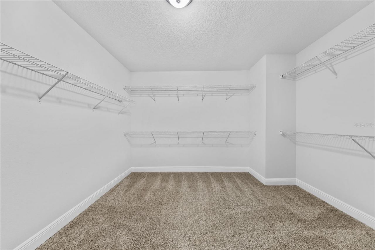 15537 Mango Isle Street , Winter Garden, FL 34787 Photo