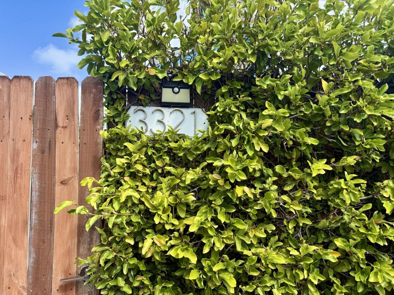 3321 Harriet Avenue, Key West, FL 33040 Photo