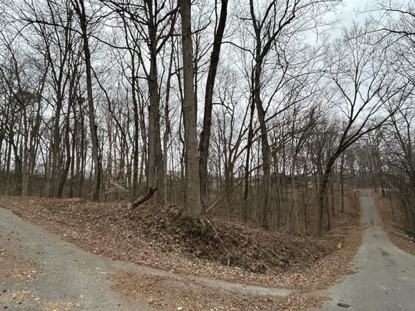 110 Scenic Dr, Russellville, AL