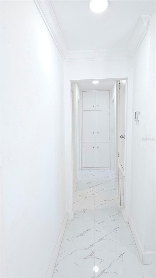 1325 Mary L Road, Clearwater, FL 33755 Photo