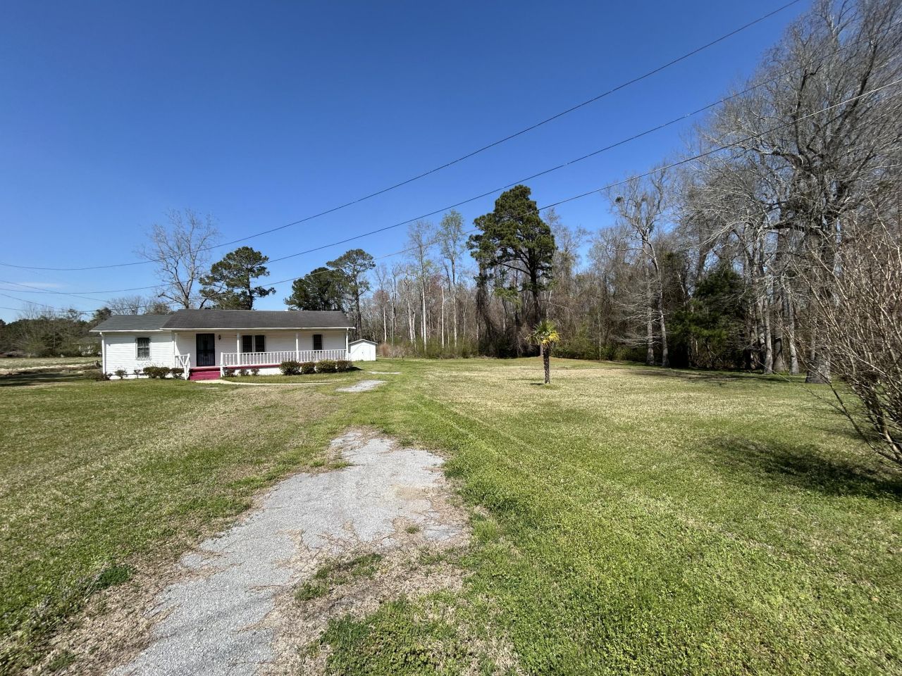 4304 Alex Harvin Highway Photo 2