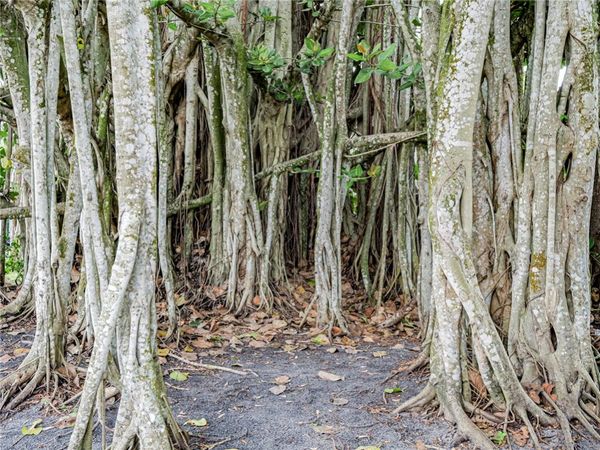 1206 21st Court, Vero Beach, FL 32960