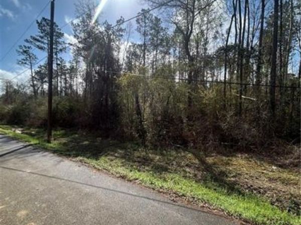 TBD CHAPMAN Road , Loranger, LA 70446