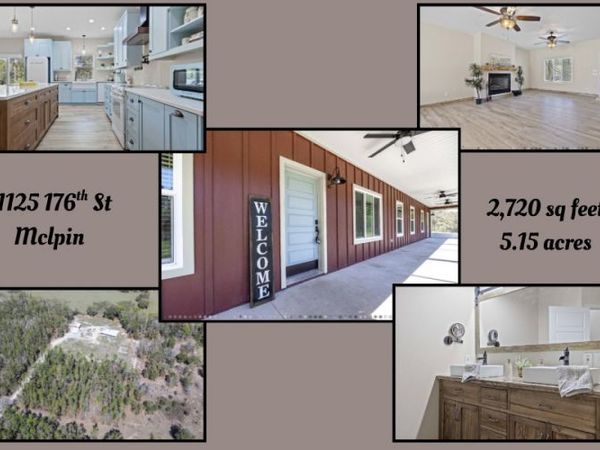 11125 176TH STREET, McAlpin, FL 32062