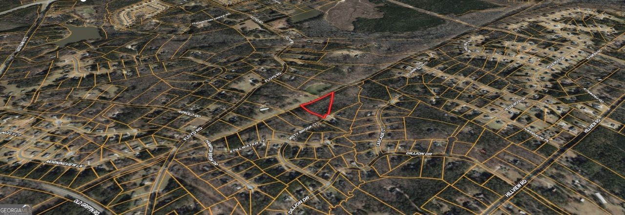 437 Misty Brook Court, Hampton, GA 30228 Main Photo