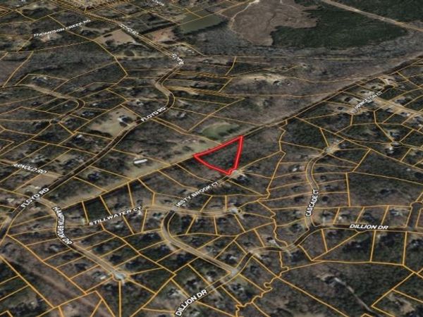 437 Misty Brook Court, Hampton, GA 30228