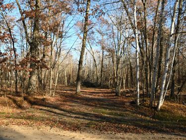 27537 Ode Circle , Browerville, MN 56438