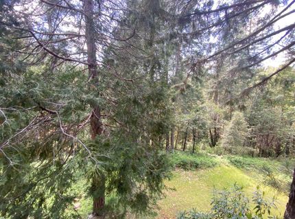 6950 Fools Canyon Rd, Georgetown, CA 95634 Photo