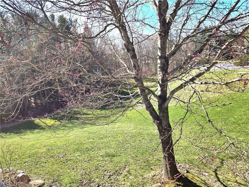 1470 Camden Ridge Boulevard , Unit 42, Green, OH 44312 Photo 17