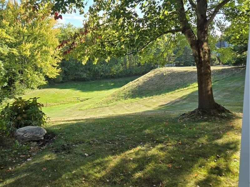 1470 Camden Ridge Boulevard , Unit 42, Green, OH 44312 Photo 36