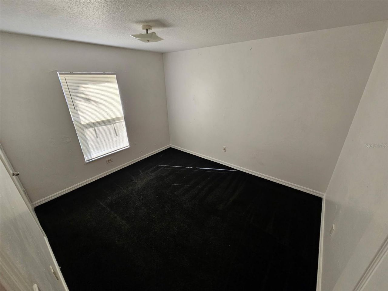 1000 13th Avenue S, Saint Petersburg, FL 33705 Photo