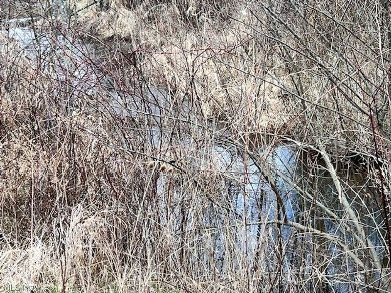 0 Johnson Bethel Road, Barnesville, OH 43713 Photo 3