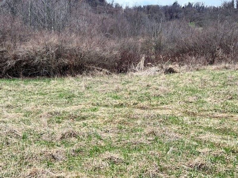 0 Johnson Bethel Road, Barnesville, OH 43713 Photo 6