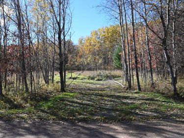 27705 Oberon Loop , Browerville, MN 56438