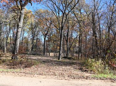 39884 Pine Island Pt Drive , Browerville, MN 56438