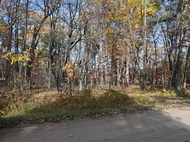 40889 Penelope Loop , Browerville, MN 56438