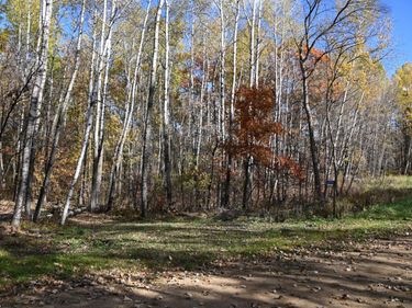 39924 Oriole Court , Browerville, MN 56438