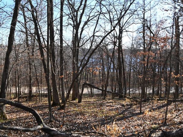 TBD 392 Street , Fawn Lake Twp, MN 56438