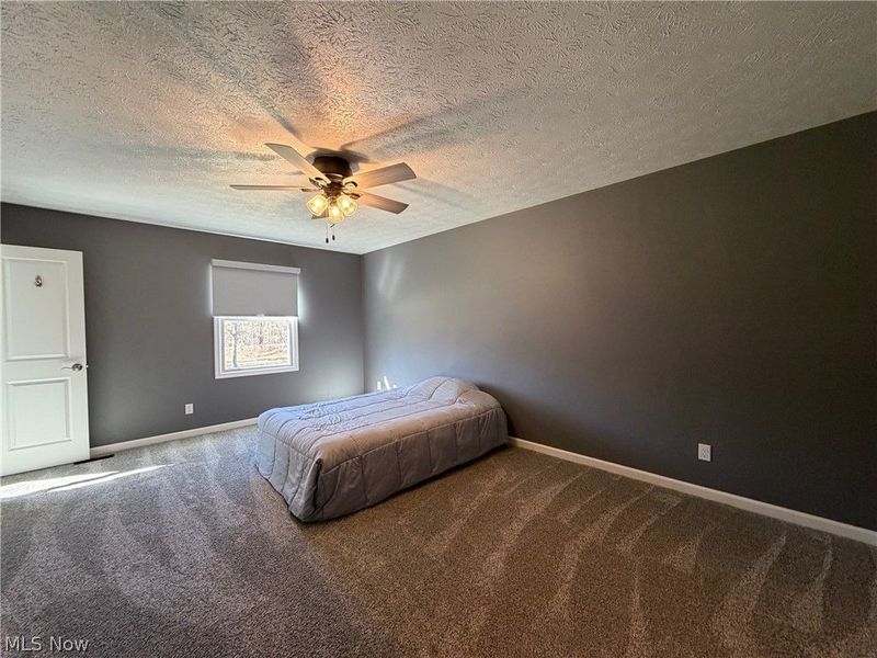 9912 State Route 700, Mantua, OH 44255 Photo 13