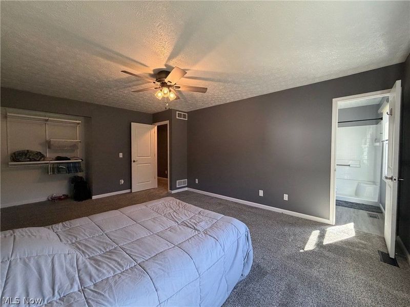 9912 State Route 700, Mantua, OH 44255 Photo 14