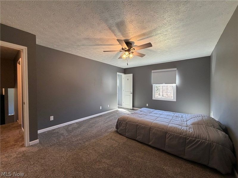 9912 State Route 700, Mantua, OH 44255 Photo 15