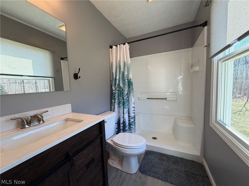 9912 State Route 700, Mantua, OH 44255 Photo 16