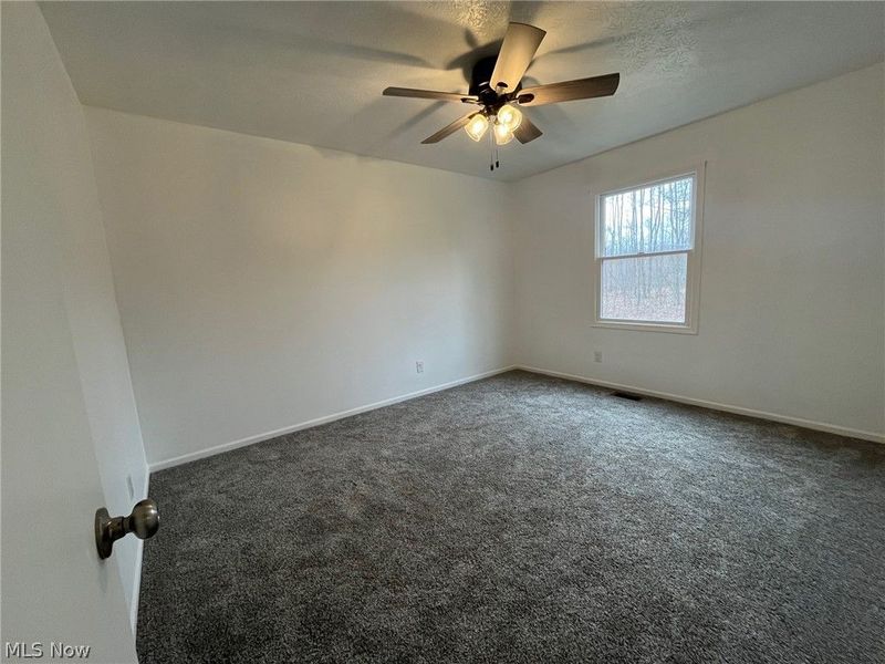 9912 State Route 700, Mantua, OH 44255 Photo 17