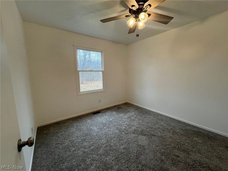 9912 State Route 700, Mantua, OH 44255 Photo 19