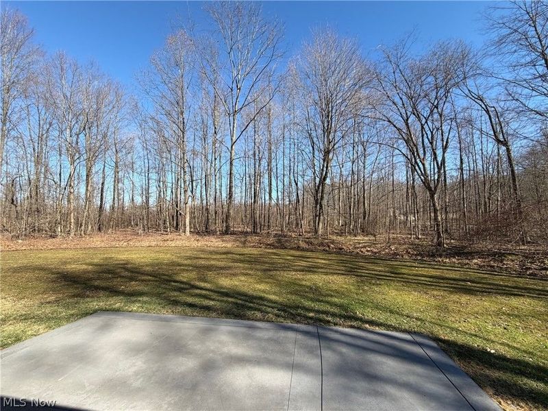 9912 State Route 700, Mantua, OH 44255 Photo 36