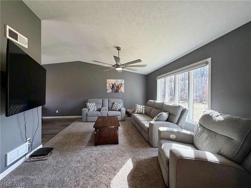 9912 State Route 700, Mantua, OH 44255 Photo 4