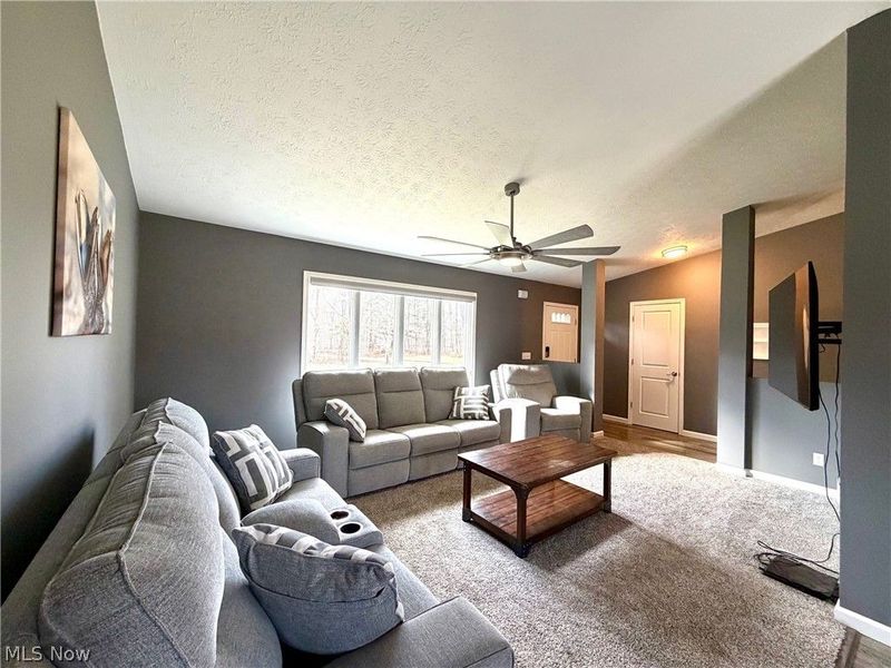 9912 State Route 700, Mantua, OH 44255 Photo 5