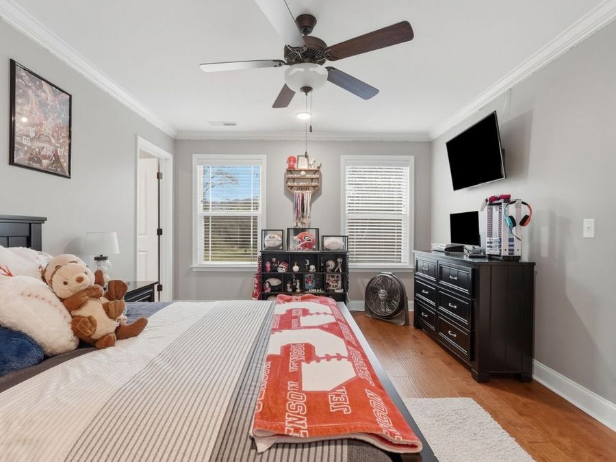 Property Image 43