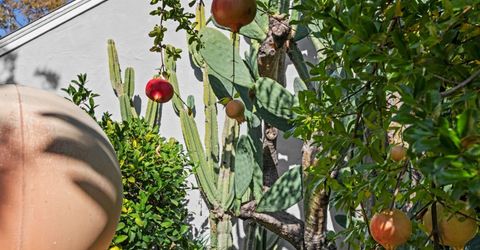 2214 U St, Sacramento, CA 95818 Photo