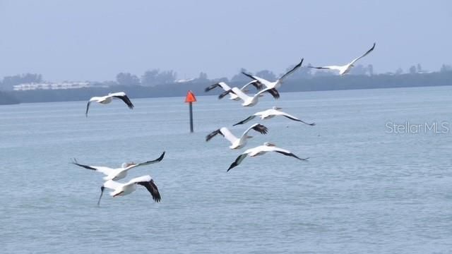 7500 Park Pointe Drive , Lot #52, Englewood, FL 34224 Photo