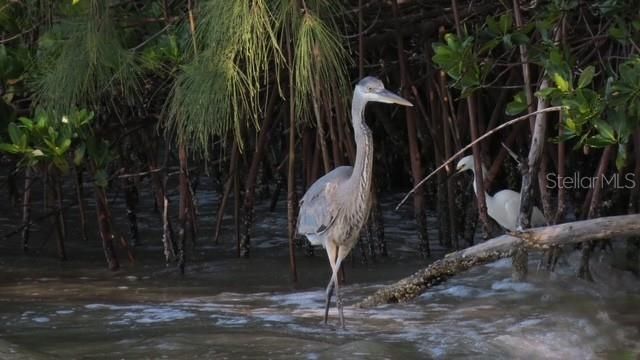 7500 Park Pointe Drive , Lot #52, Englewood, FL 34224 Photo