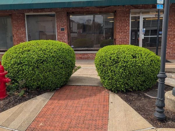 9119 Pigeon Roost Road, Olive Branch, MS 38654