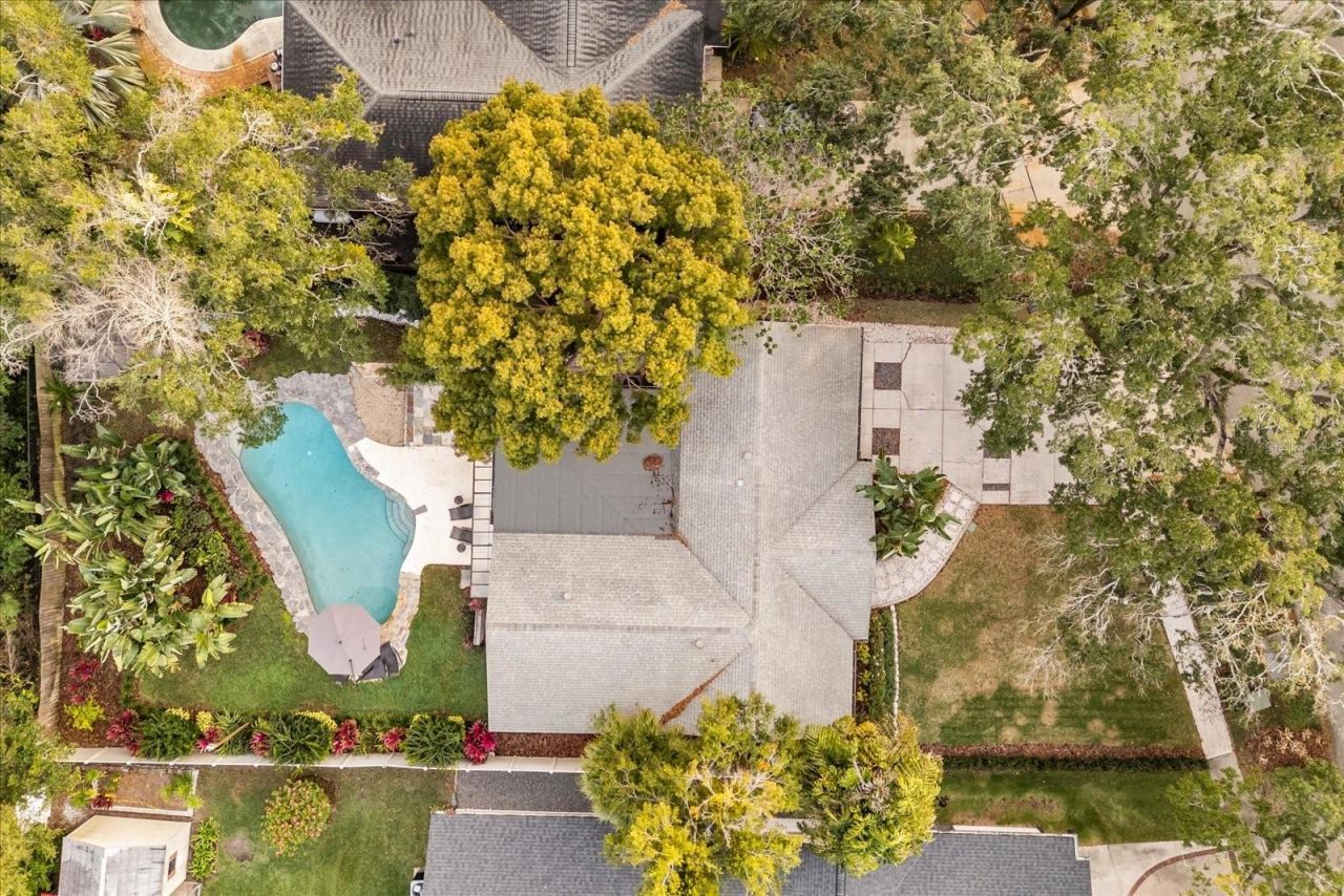 1802 Arbor Park Drive , Winter Park, FL 32789 Photo