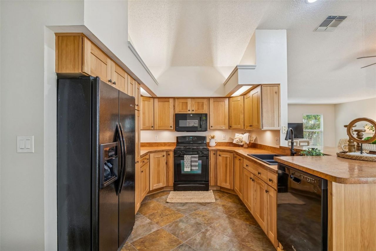 160 Sage Circle, Crystal Beach, FL 34681 Photo