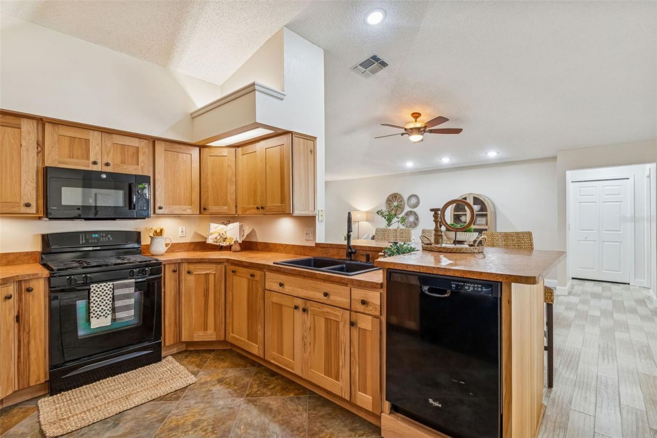 160 Sage Circle, Crystal Beach, FL 34681 Photo