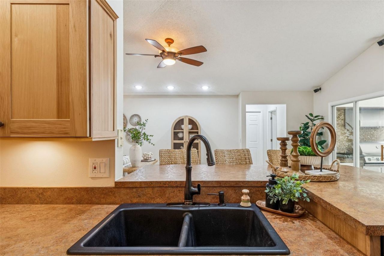 160 Sage Circle, Crystal Beach, FL 34681 Photo