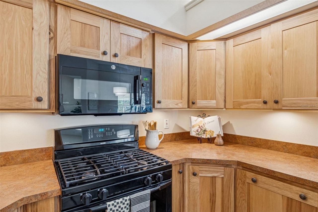 160 Sage Circle, Crystal Beach, FL 34681 Photo