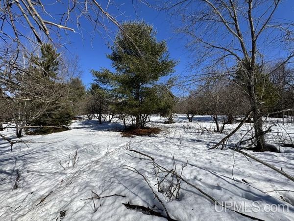 TBD Bellaire Road, Baraga Twp, MI 49908