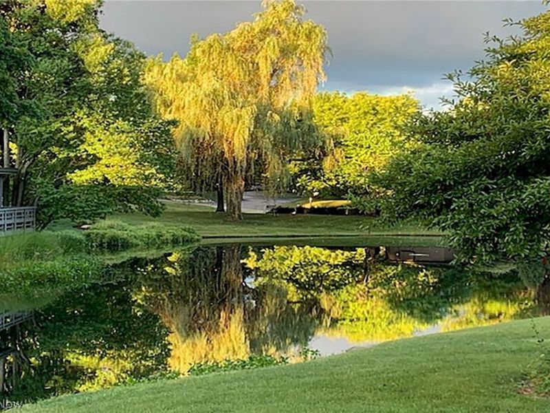 520-18 Willow Circle , Aurora, OH 44202 Photo 37