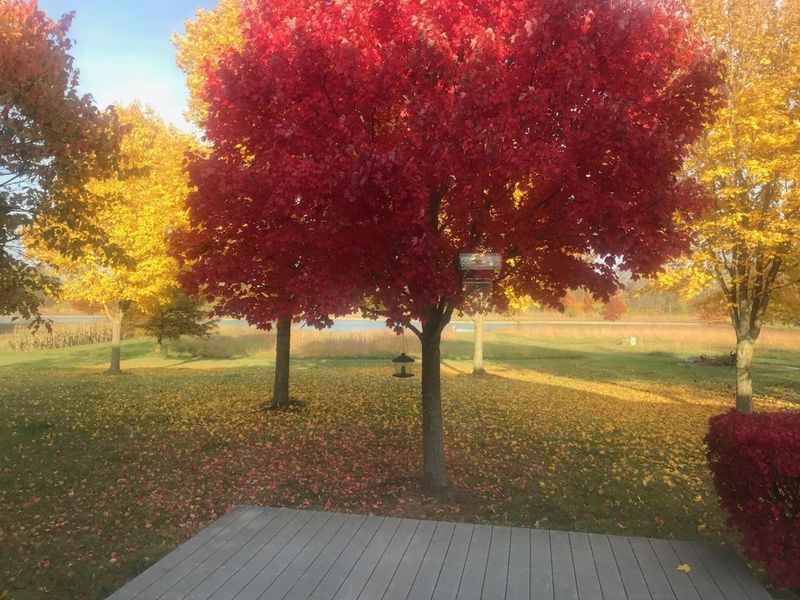 1855 Spring Valley Road , London, OH 43140 Photo 43