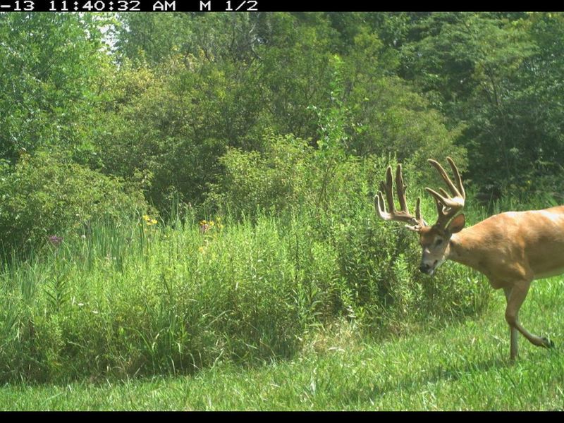 1855 Spring Valley Road , London, OH 43140 Photo 52