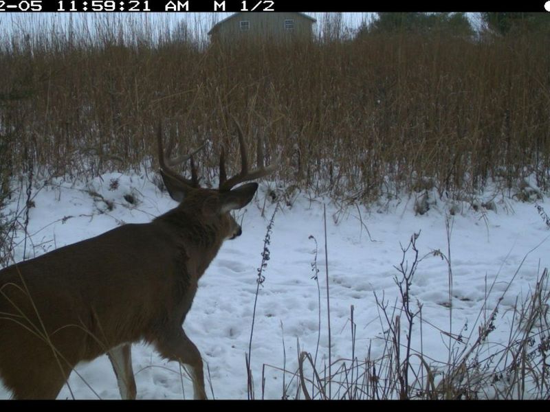 1855 Spring Valley Road , London, OH 43140 Photo 53