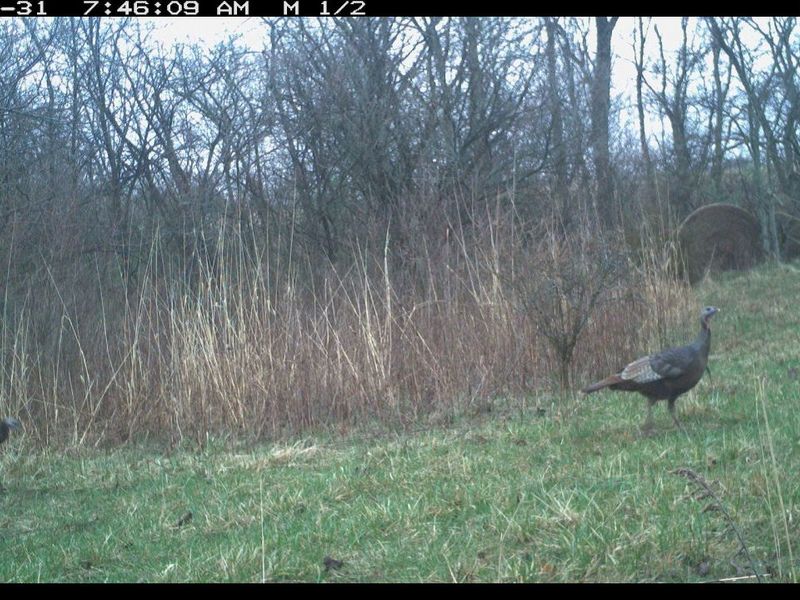 1855 Spring Valley Road , London, OH 43140 Photo 54