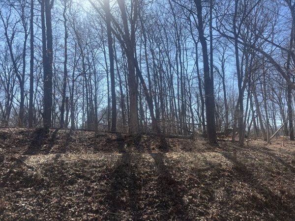 839 Lake Wildwood Drive, Varna, IL 61375